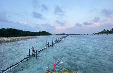 Maldives Sea 50m Running Fountain with Water Screen Projection